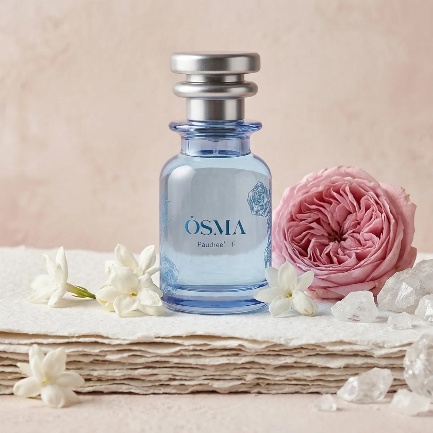 OSMA Paudree F
